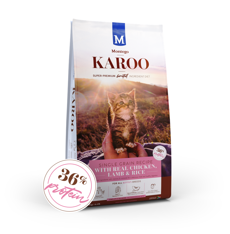 karoo-kitten-chicken-&-lamb