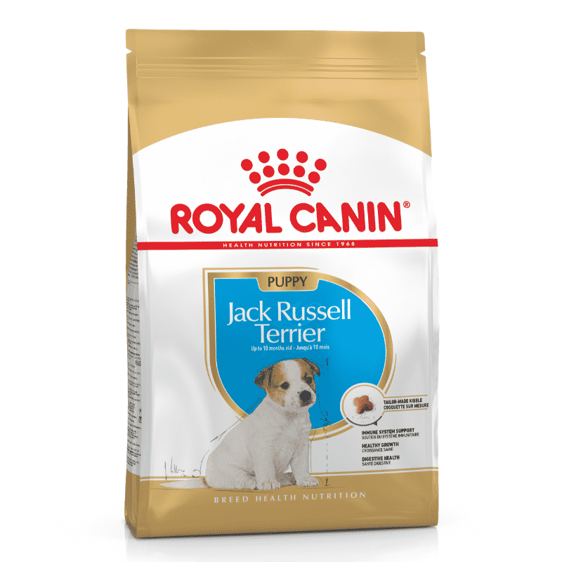 royal-canin-jack-russel-puppy