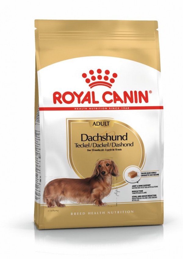 royal-canin-dachshund-adult