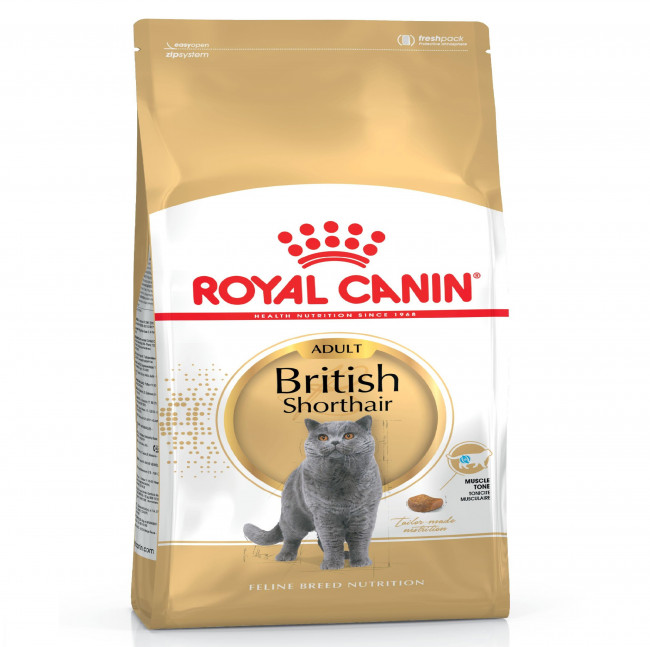 royal-canin-british-shorthair