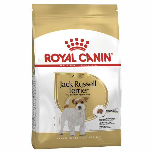 royal-canin-jack-russel-adult