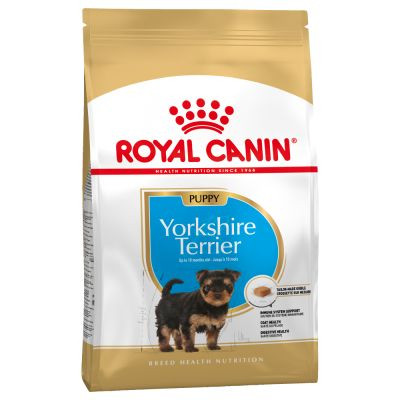 royal-canin-yorkshire-terrier-puppy